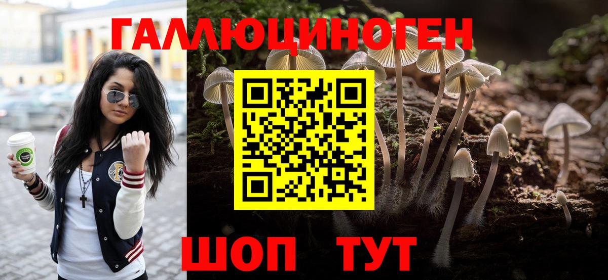 Горно-Алтайск  Галлюциногенные грибы MAGIC MUSHROOMS  Вход с VPN  Псилоцибиновые грибы Psilocybe 